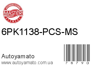 6PK1138-PCS-MS (MASTER SPORT)
